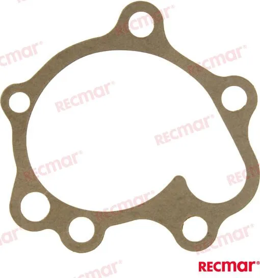 PUMP GASKET