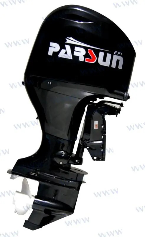 PARSUN FL110FEL-T-EFI CR