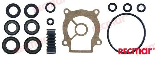 LOWER UNIT SEAL KIT