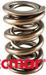 VALVE SPRING