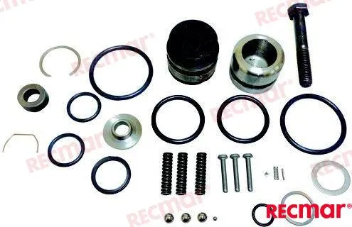 CYLINDER OVERHAUL KIT
