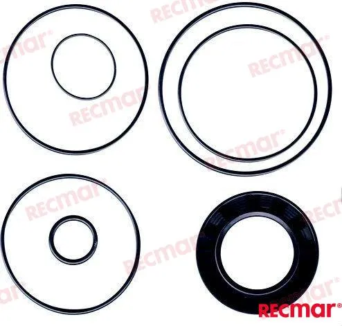 DRIVES U-JOINT SEAL KIT