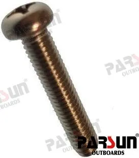 SCREW  SMALL PAN HEAD M6X30