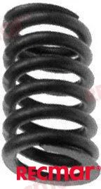 VALVE SPRING