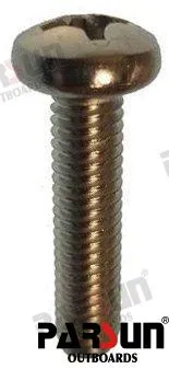 SCREW  PAN HEAD M6X25