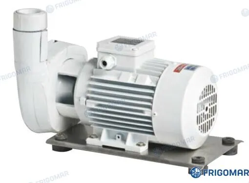 SEA WATER PUMP B-NM40/16B/B (3 KW)