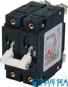 CIRCUIT BREAKER CA2 100A WHITE