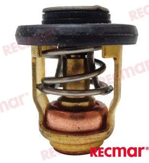 THERMOSTAT