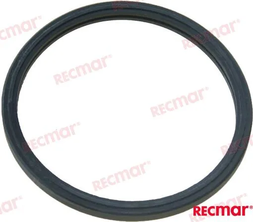 THERMOSTAT GASKET