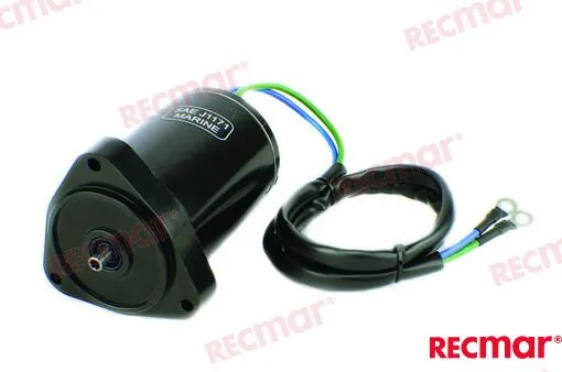TRIM MOTOR