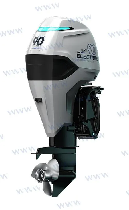 OUTBOARD ELECTRIC PROPULSION 90HP (EXTRA