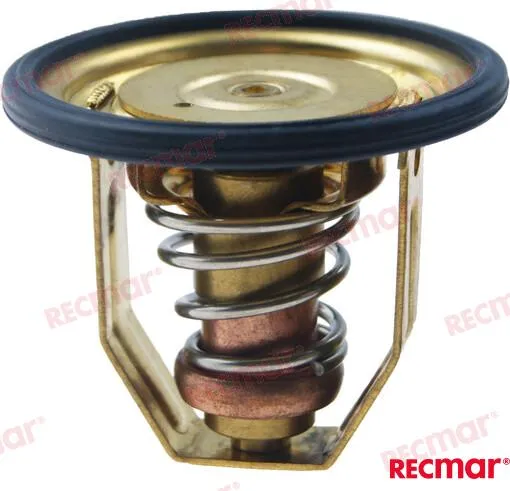 THERMOSTAT KIT