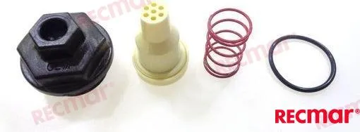 THERMOSTAT KIT