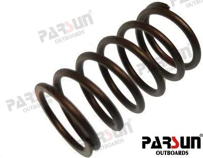 SPRING, VALVE STEM