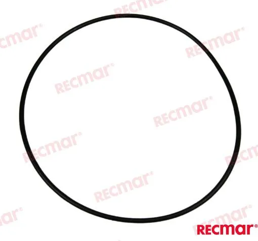 ROTOR-BEARING HOLDER O-RING