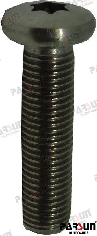 SCREW M10X1.25X40