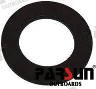 BUSHER ROCKER SPRING