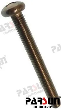 SCREW  PAN HEAD M5X45