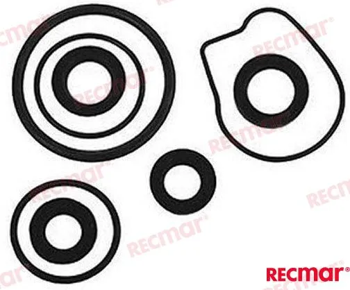 LOWER UNIT SEAL KIT