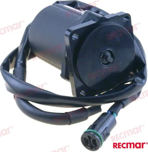  TRIM MOTOR
