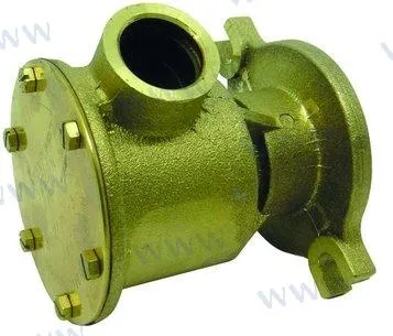 RAW WATER PUMP
