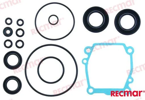 LOWER UNIT SEAL KIT