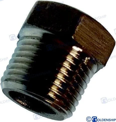 HEX HEAD PLUG  AISI 316   2"