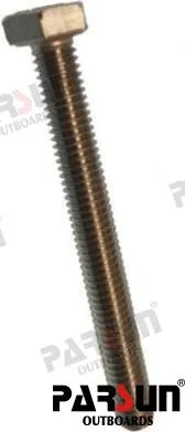 BOLT M6X55