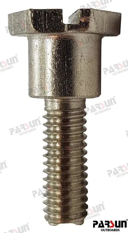 PLATE DRIVE BOLT
