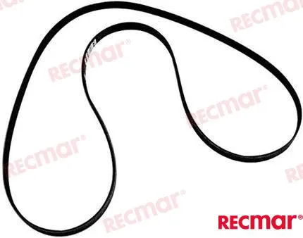 SERPENTINE BELT MCM