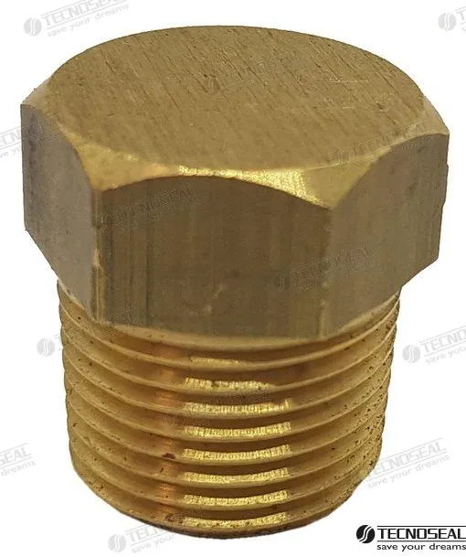 PLUG BRASS FOR ANODE ONAN