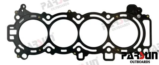 CYLINDER GASKET ASSY