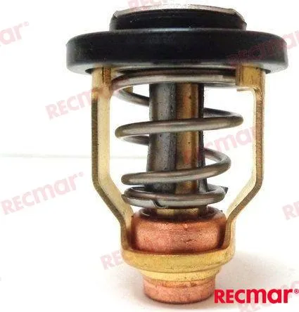 THERMOSTAT