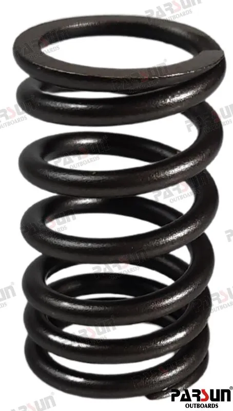 VALVE SPRING