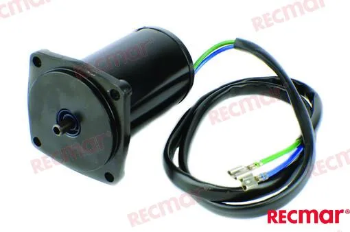 TRIM  MOTOR