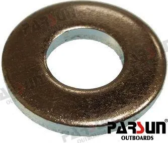 WASHER FLYWHEEL NUT