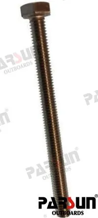 BOLT M6X75