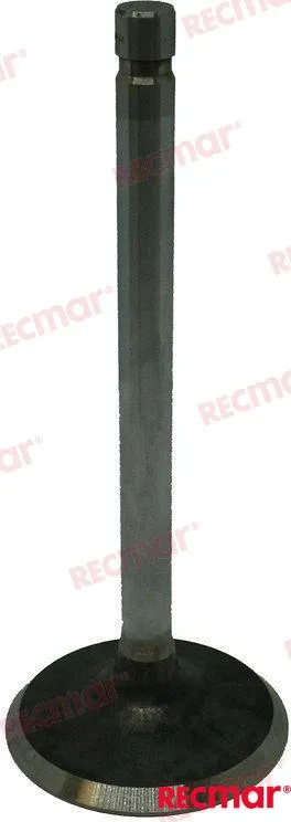 VALVE: INTAKE 305 V8