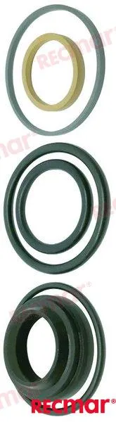 SEAL KIT POWER TRIM DPS-A/SX-A