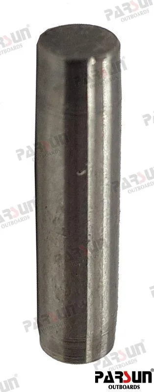ROLLER NEEDLE D4X16.5