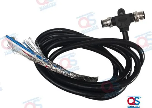 CABLE ALIMENTACION DPMS 2M