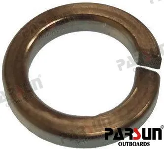 WASHER SPRING 10