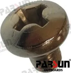 SCREW PAN HEAD M8X10