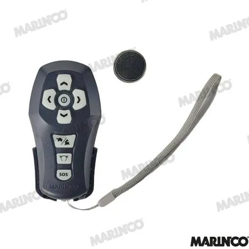 HANDHELD WIRELESS REMOTE (GSTSPL-12W)