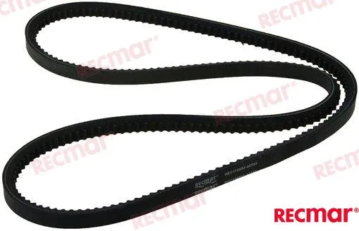 ALTERNATOR BELT