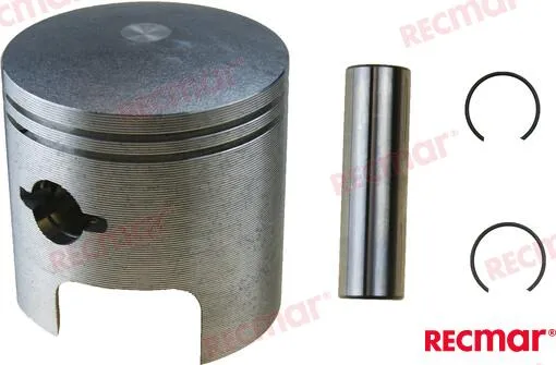 PISTON KIT W/O RING