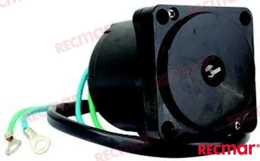 TRIM MOTOR ASSY