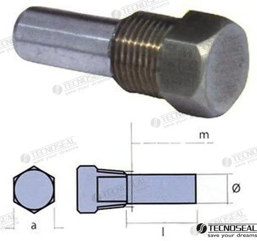 ANODE BAR ZF