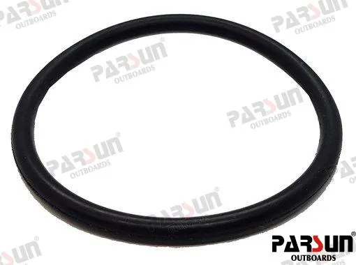 O-RING 24-031