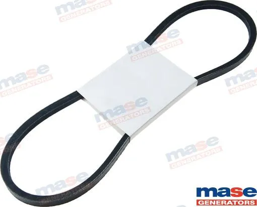 ALTERNATOR BELT